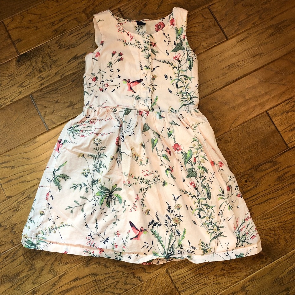 GAP Kids Hummingbird Floral Pink Dress